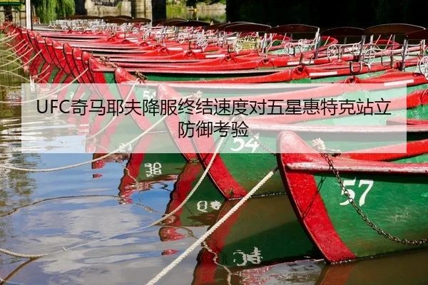 qi-ma-ye-fu-xiang-fu-zhong-jie-su-du-dui-wu-xing-hui-te-ke-zhan-li-fang-yu-kao-yan-2-492.jpg